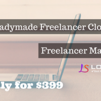 freelancer clone.png